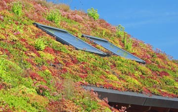 Kynnersley living roof systems